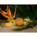 Mandarine Aroma konzentriert zur Herstellung von DIY eLiquids fuer eZigaretten